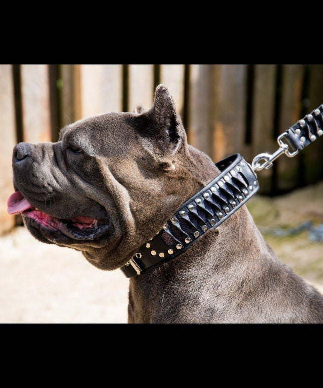 The ''Steampunk'' collar exclusive design-1