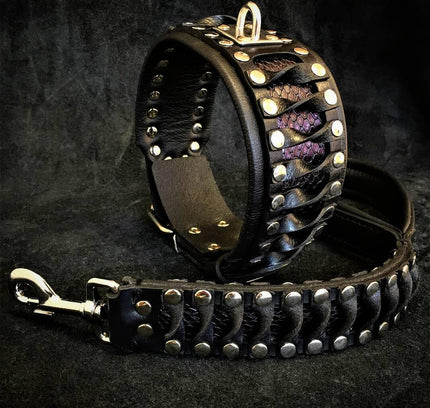 The "Steampunk" leash-1