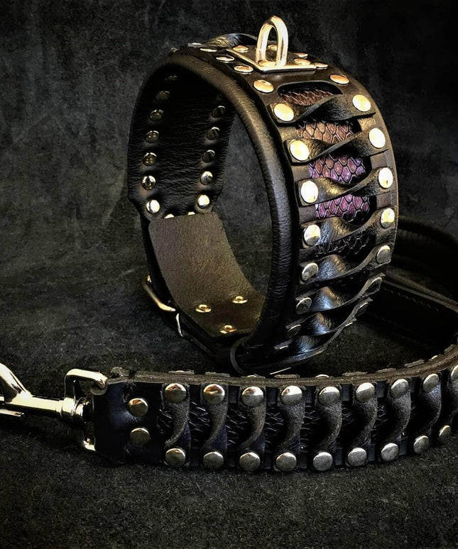 The "Steampunk" leash-1