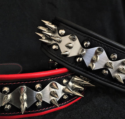 The "Steel" collar-0