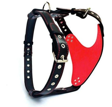 The "Steel" harness-1