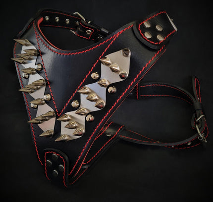 The "Steel" harness-0