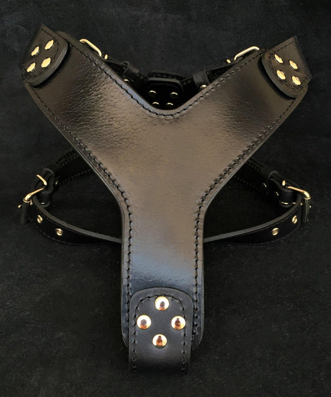 The ''Style'' harness Black