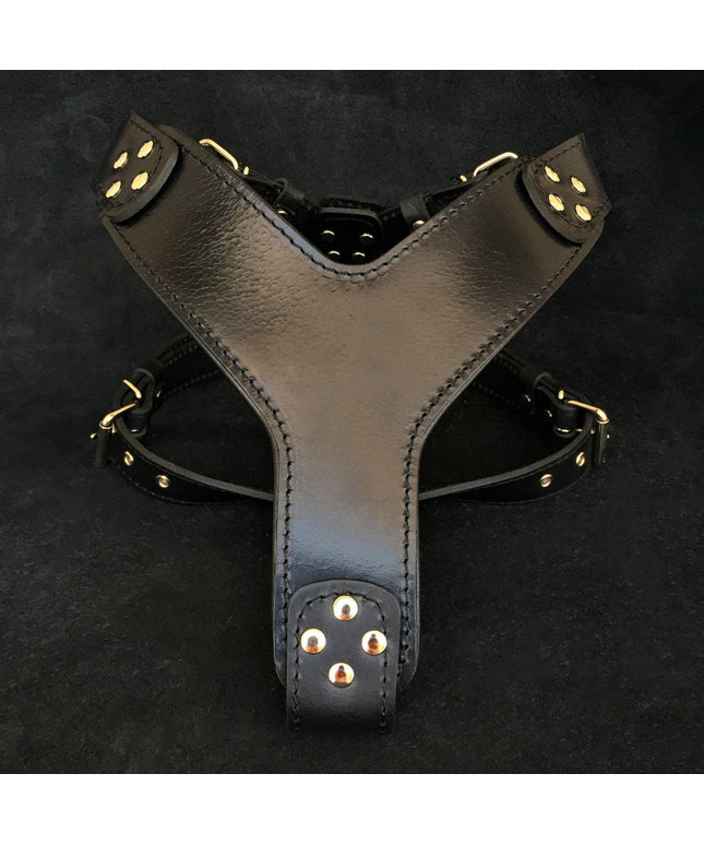 The ''Style'' harness Black-0