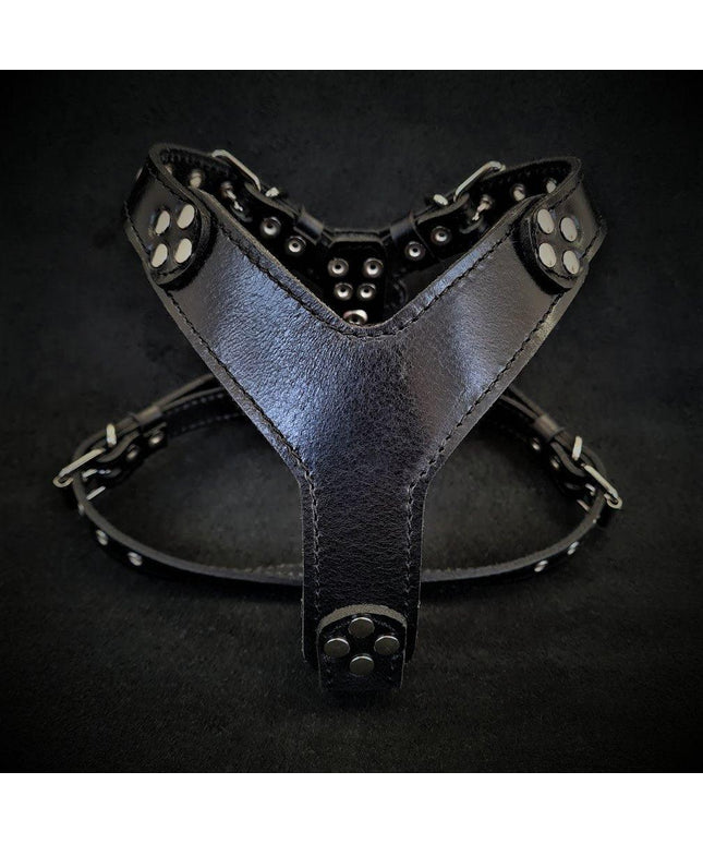 The ''Style'' harness Black Small to Medium Size-0