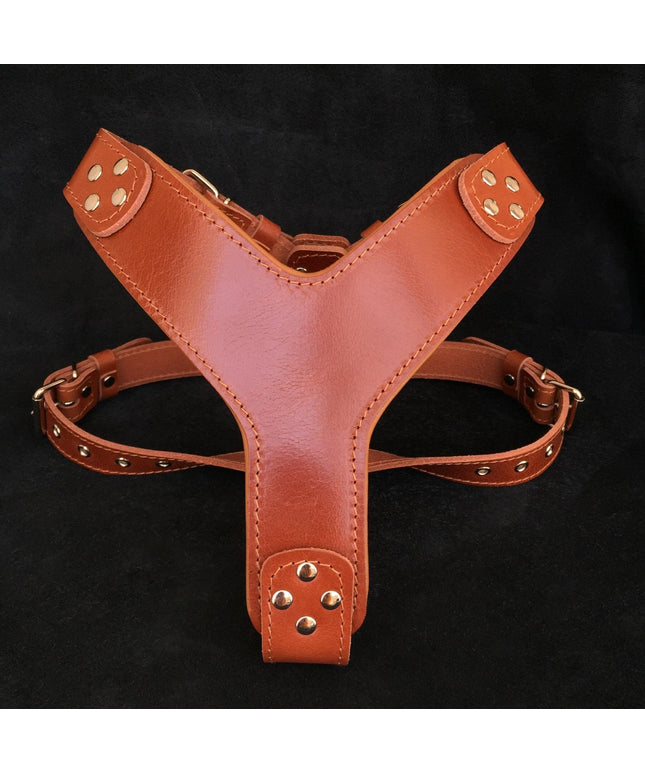 The ''Style'' harness Brown-0