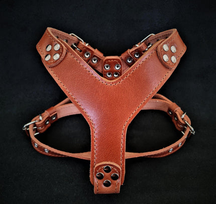The ''Style'' harness Brown Small to Medium Size-0