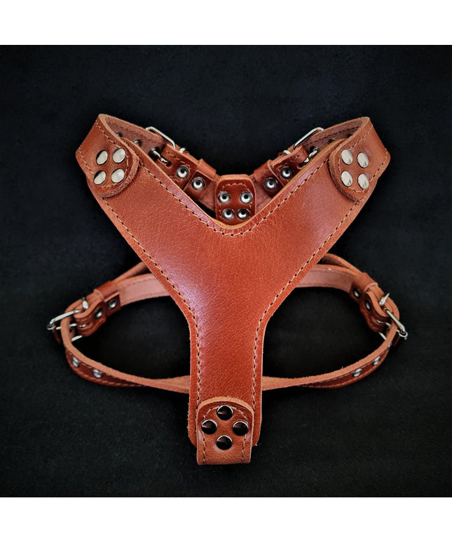 The ''Style'' harness Brown Small to Medium Size-0