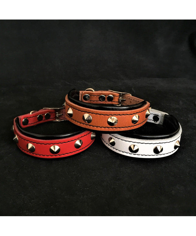 The "Superstar" puppy dog collar-0