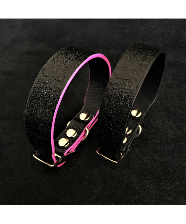 The ''Taurus'' puppy collar-0