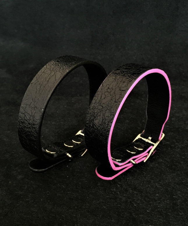 The ''Taurus'' puppy collar-1
