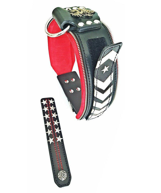 The unique "General" leather dog collar for big dogs-1