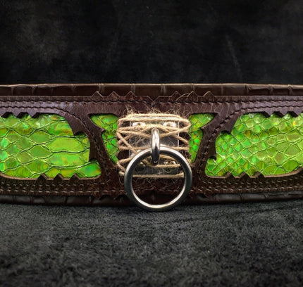 The ''Venom'' collar-0