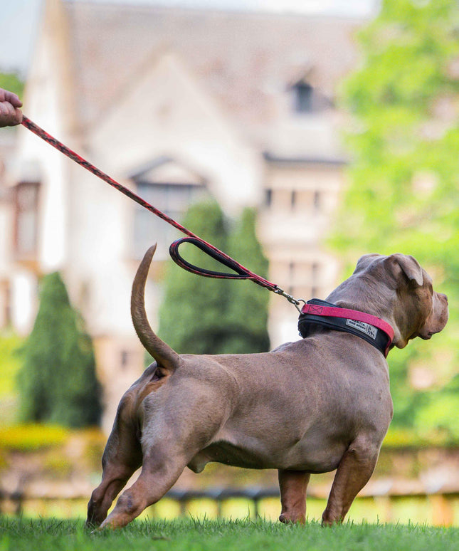 BESTIA DOG SPORT dual handle leash Red Camo-2