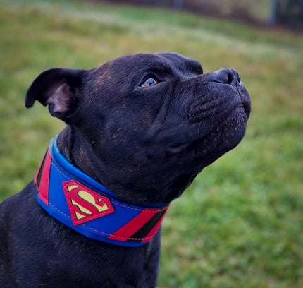 Superdog Collar-2