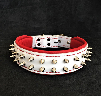 White "Frenchie" dog collar-0