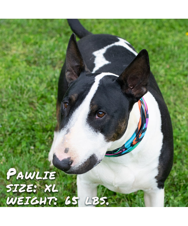 Zoomies Pup Scruff-0