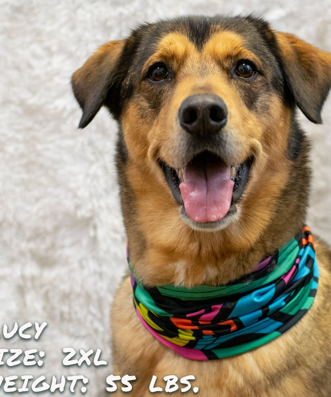 Zoomies Pup Scruff-2